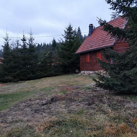 Vila Tijana Mitrovac Buitenkant foto