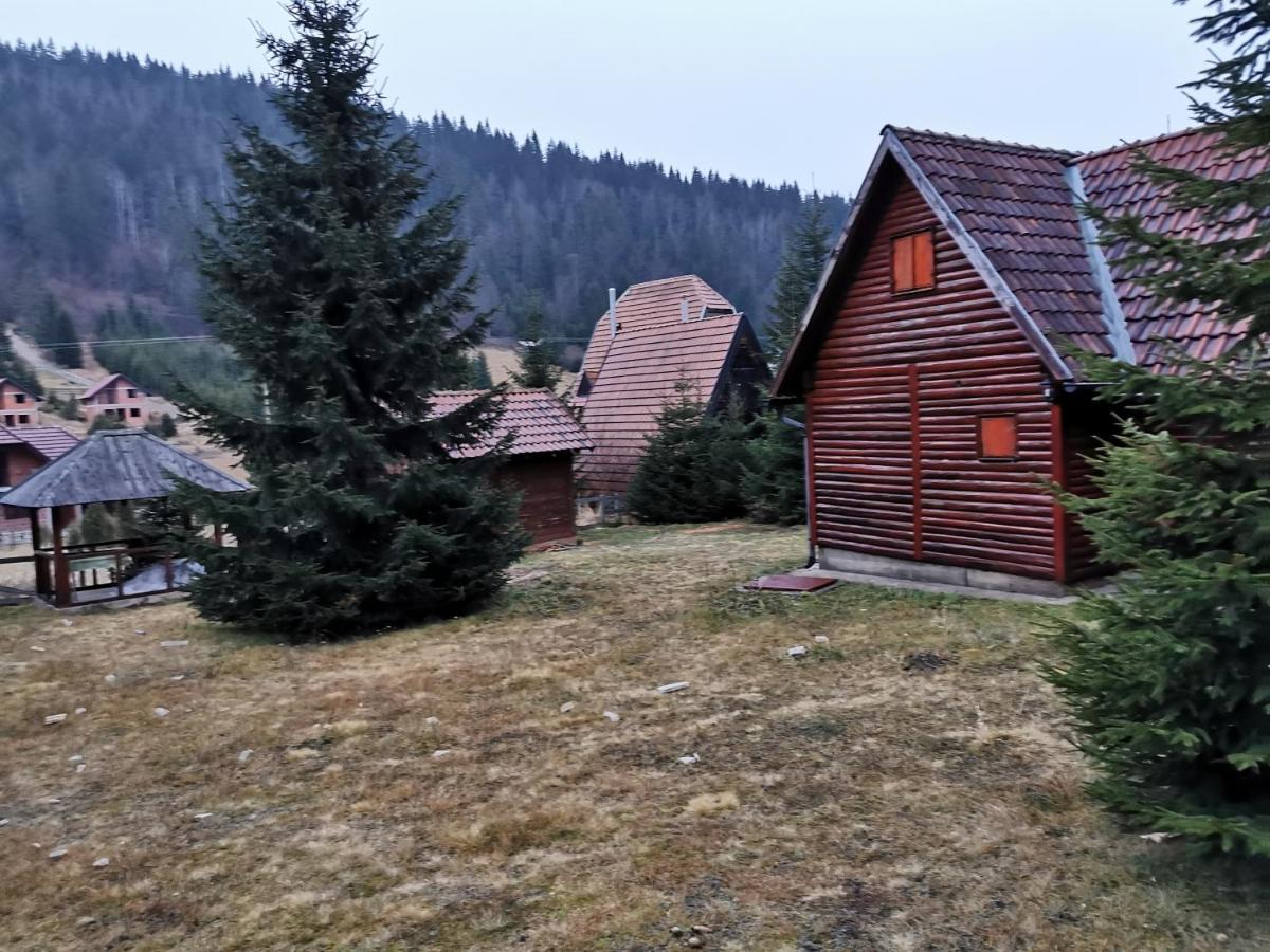 Vila Tijana Mitrovac Buitenkant foto