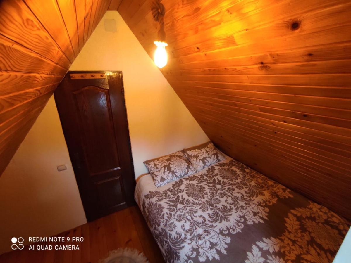 Vila Tijana Mitrovac Buitenkant foto