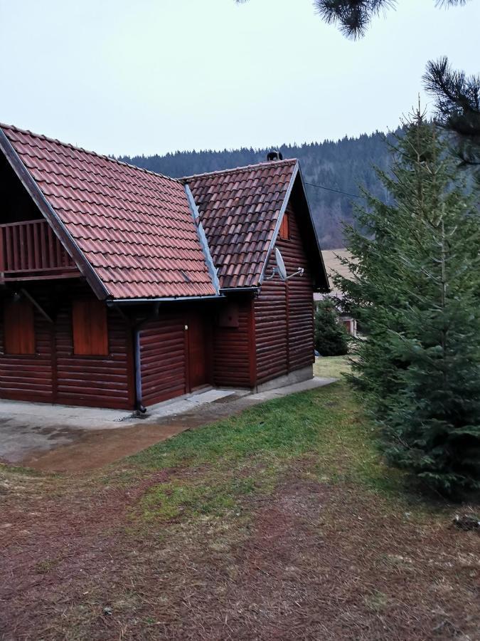 Vila Tijana Mitrovac Buitenkant foto