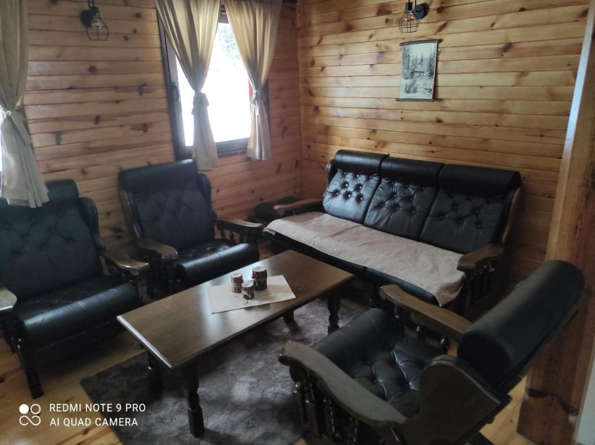 Vila Tijana Mitrovac Buitenkant foto